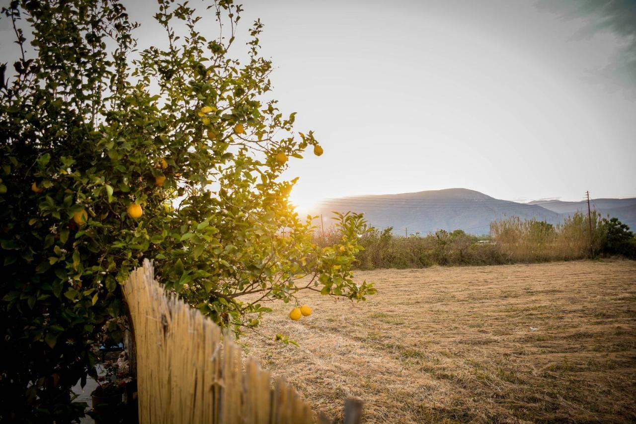 Boem Villa In Nafpliο Nea Kios Exteriér fotografie